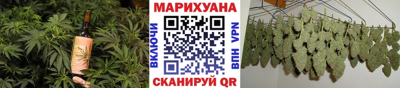 kraken вход  как найти закладки  Гатчина  Cannafood марихуана 