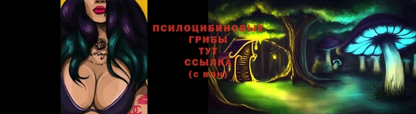 ГАЛЛЮЦИНОГЕННЫЕ ГРИБЫ Балахна