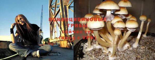 ГАЛЛЮЦИНОГЕННЫЕ ГРИБЫ Балахна