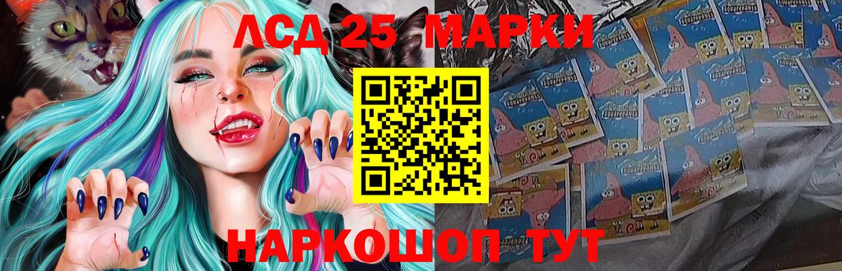 LSD-25 экстази кислота  kraken ссылки  Гатчина 