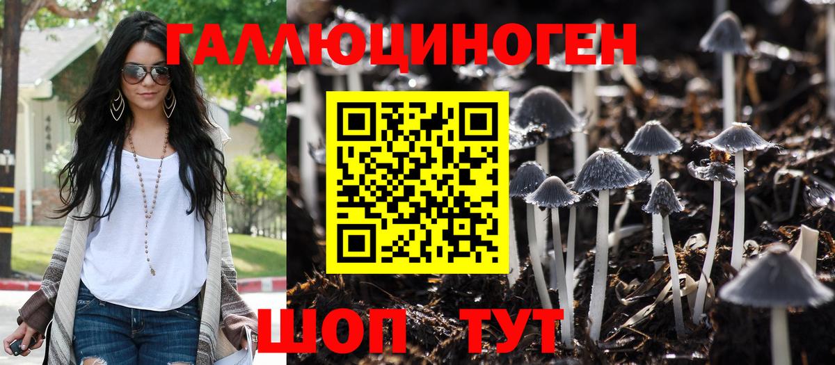 Гатчина  Псилоцибиновые грибы прущие грибы  Вход с VPN 