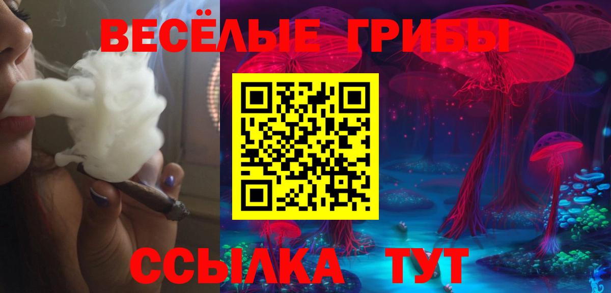Псилоцибиновые грибы Psilocybine cubensis Гатчина