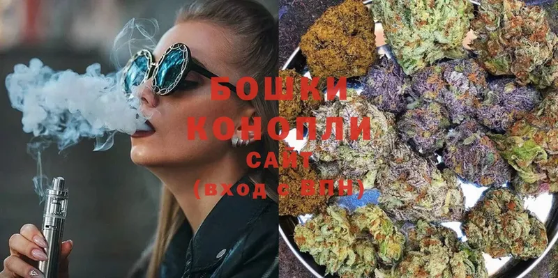 Каннабис OG Kush  Гатчина 